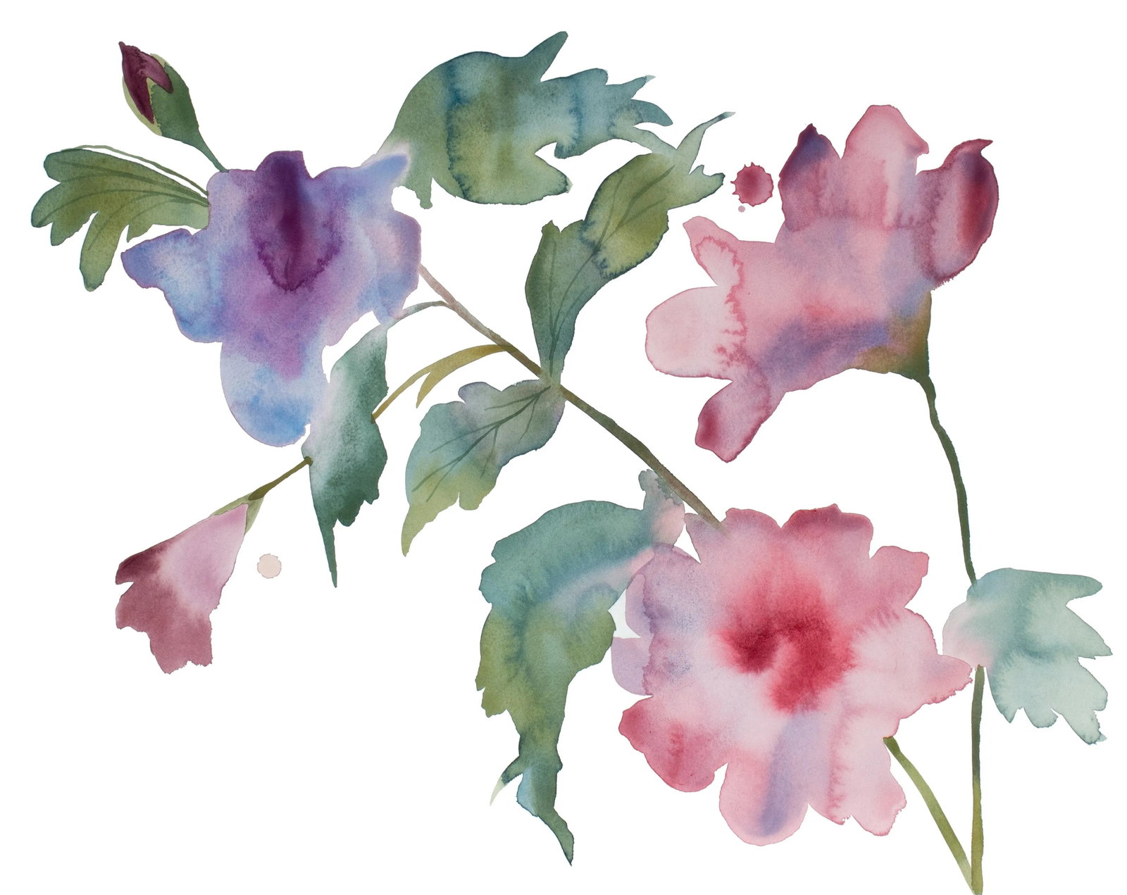 "Hibiscus No. 5" Contemporary Original Botanical Flowers Watercolor Painting by Elizabeth Becker: Original watercolor painting on 140 lb cold press paper Artist: Elizabeth Becker Year: 2023 Image and Paper Size: 16" x 20" Signed on front Condition: Imperfections: No Imperfections Origin: United