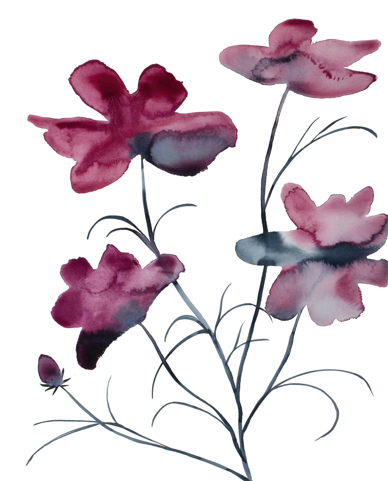"Cosmo No. 9" Contemporary Original Botanical Flowers Watercolor Painting by Elizabeth Becker: Original watercolor painting on 140 lb cold press paper Artist: Elizabeth Becker Year: 2023 Image and Paper Size: 16" x 20" Signed on front Condition: Imperfections: No Imperfections Origin: United