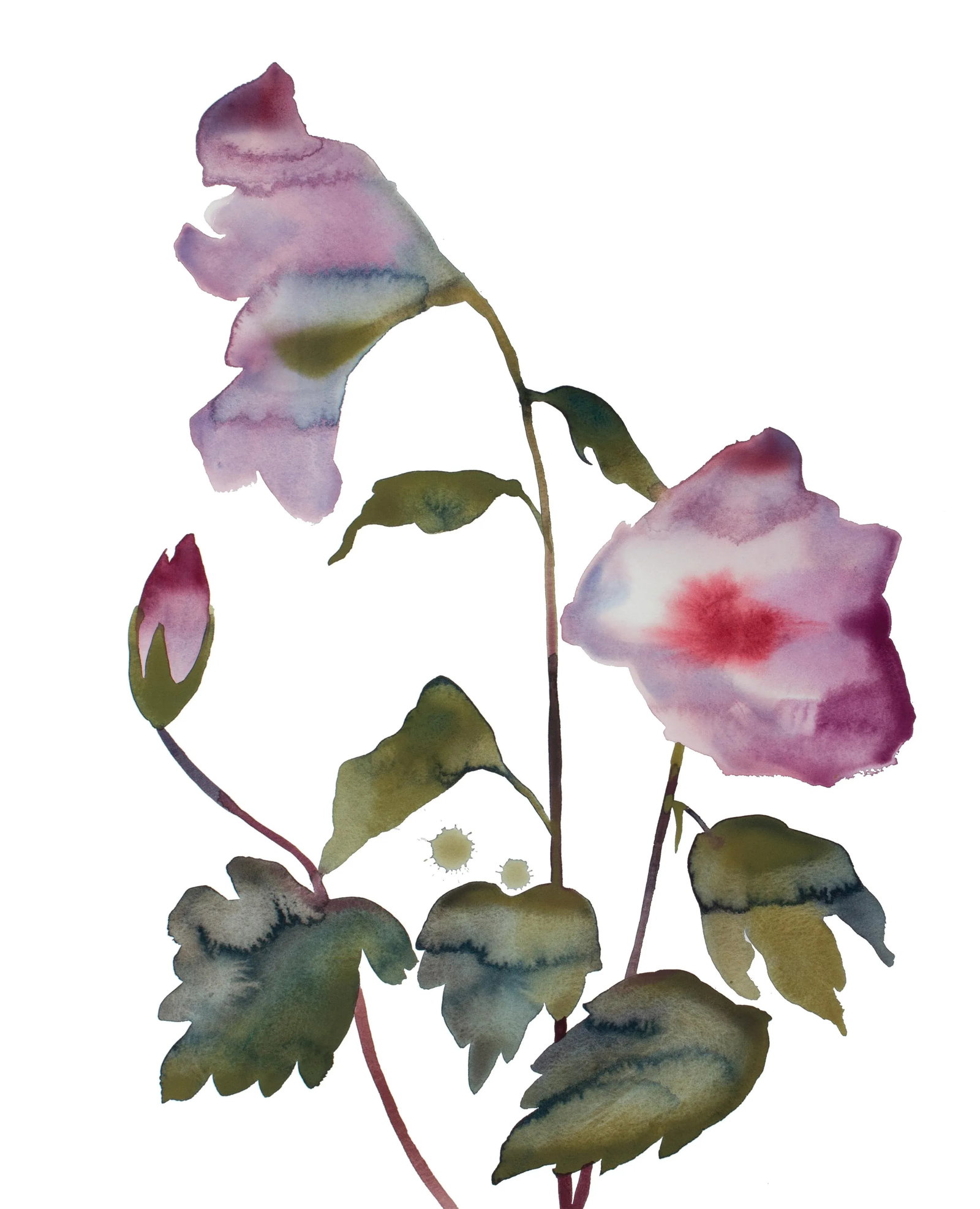 "Hibiscus No. 5" Contemporary Original Botanical Flowers Watercolor Painting by Elizabeth Becker (1 of 2)