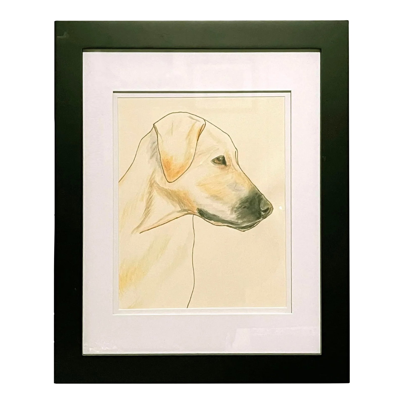 Framed & Matted Watercolor Painting, a Yellow Dog, Circa 1970: A fabulous watercolor painting of a yellow dog, double matted in a crisp white mat under glass in a black wood frame. Signed by the artist and dated 1970. Dimensions: sight, 7-1/2" W x 9-1/2" H;