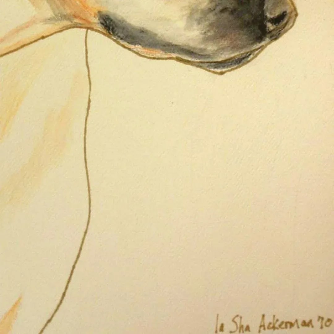 Framed & Matted Watercolor Painting, a Yellow Dog, Circa 1970 - 2