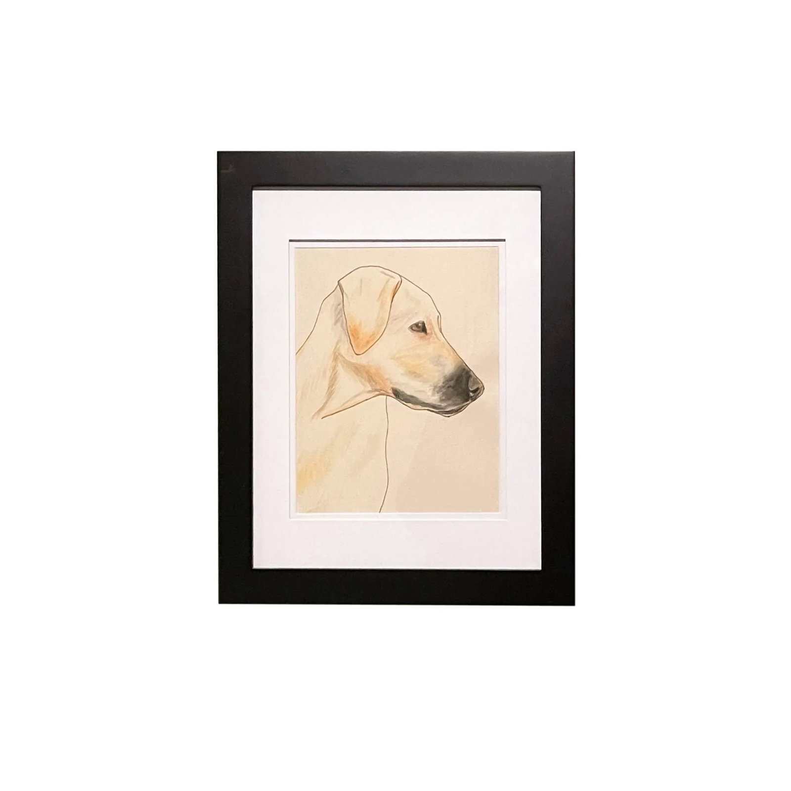 Framed & Matted Watercolor Painting, a Yellow Dog, Circa 1970 - 3