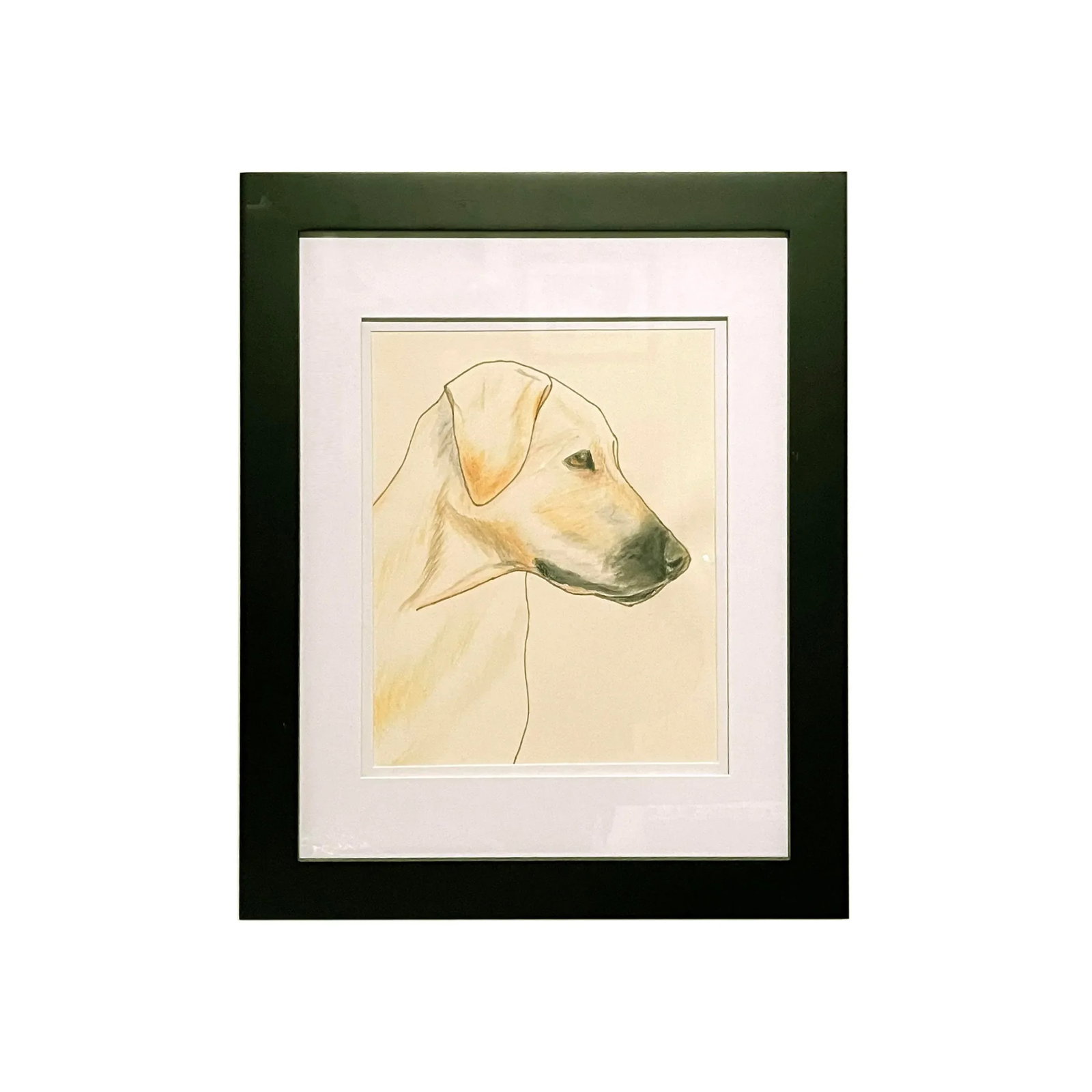 Framed & Matted Watercolor Painting, a Yellow Dog, Circa 1970 - 4
