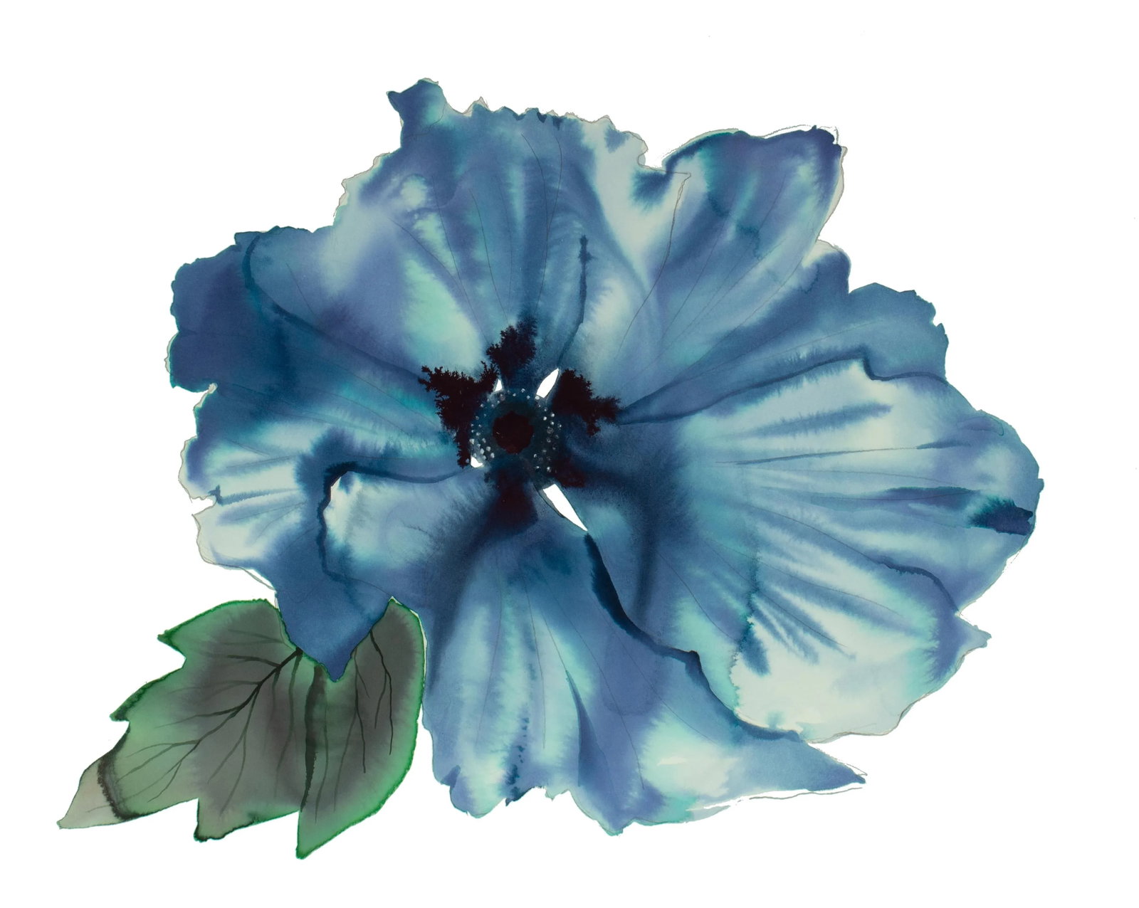 "Anemone No. 6" Contemporary Original Botanical Flower Watercolor Painting by Elizabeth Becker: Original watercolor and ink painting on 140 lb cold press paper Artist: Elizabeth Becker Year: 2023 Image and Paper Size: 16" x 20" Signed on front Condition: Imperfections: No Imperfections Origin: