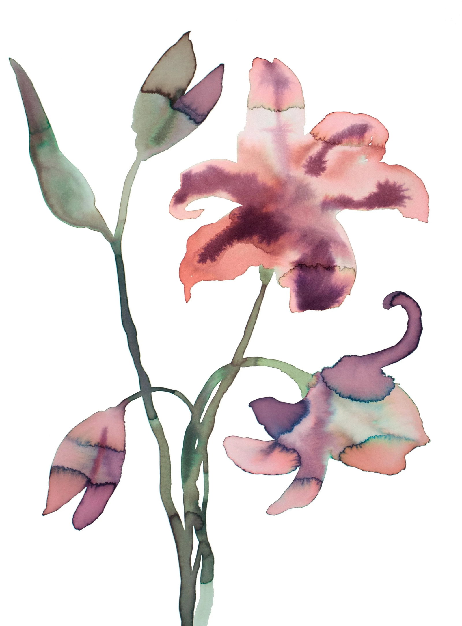 "Lilies" Contemporary Original Botanical Flower Watercolor Painting by Elizabeth Becker: Original ink painting on 140 lb cold press paper Artist: Elizabeth Becker Year: 2023 Image and Paper Size: 11" x 15" Signed on front Condition: Imperfections: No Imperfections Origin: United States