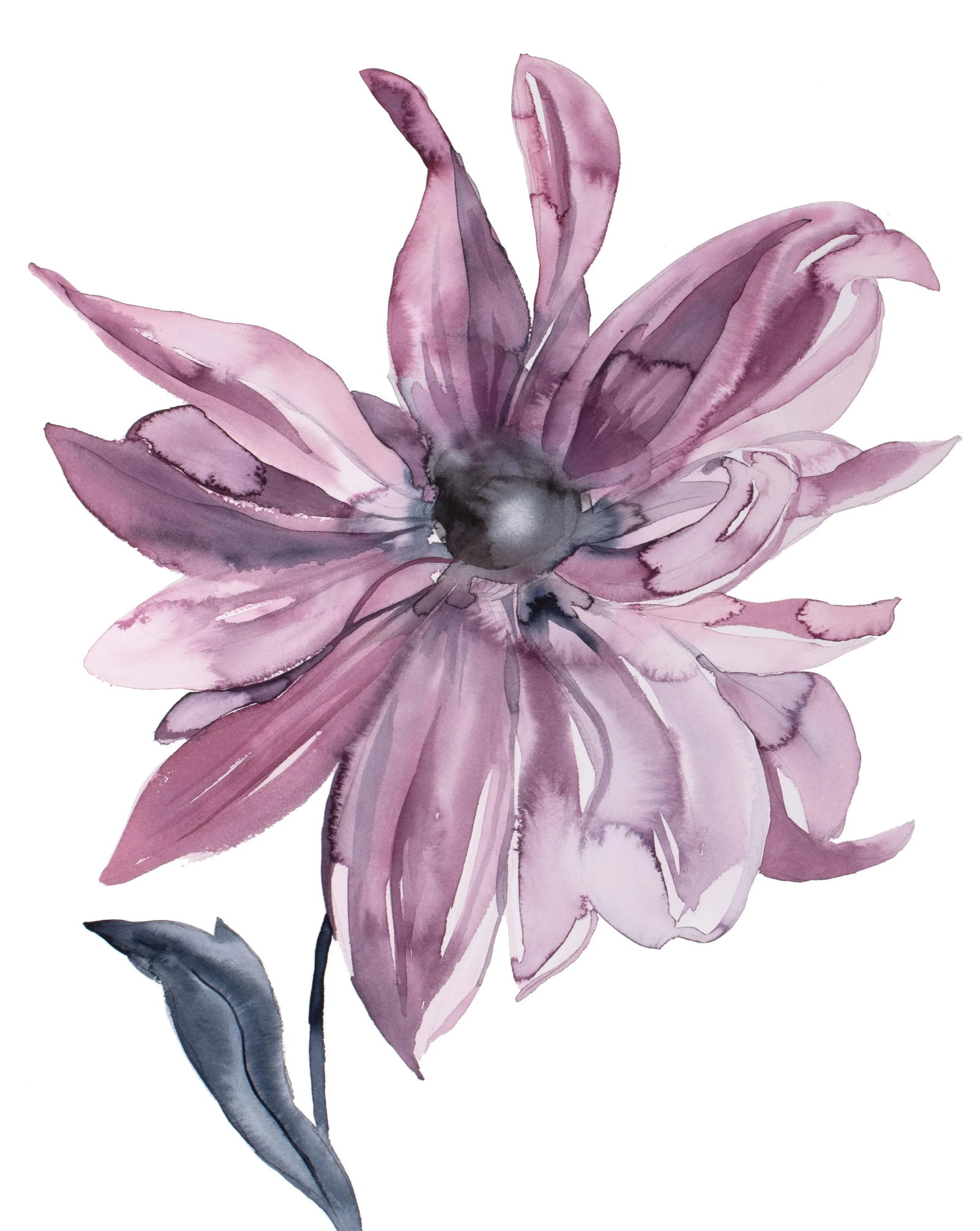 "Dahlia" Contemporary Original Botanical Flower Watercolor Painting by Elizabeth Becker: Original watercolor painting on 140 lb cold press paper Artist: Elizabeth Becker Year: 2024 Image and Paper Size: 16" x 20" Signed on front Condition: Imperfections: No Imperfections Origin: United