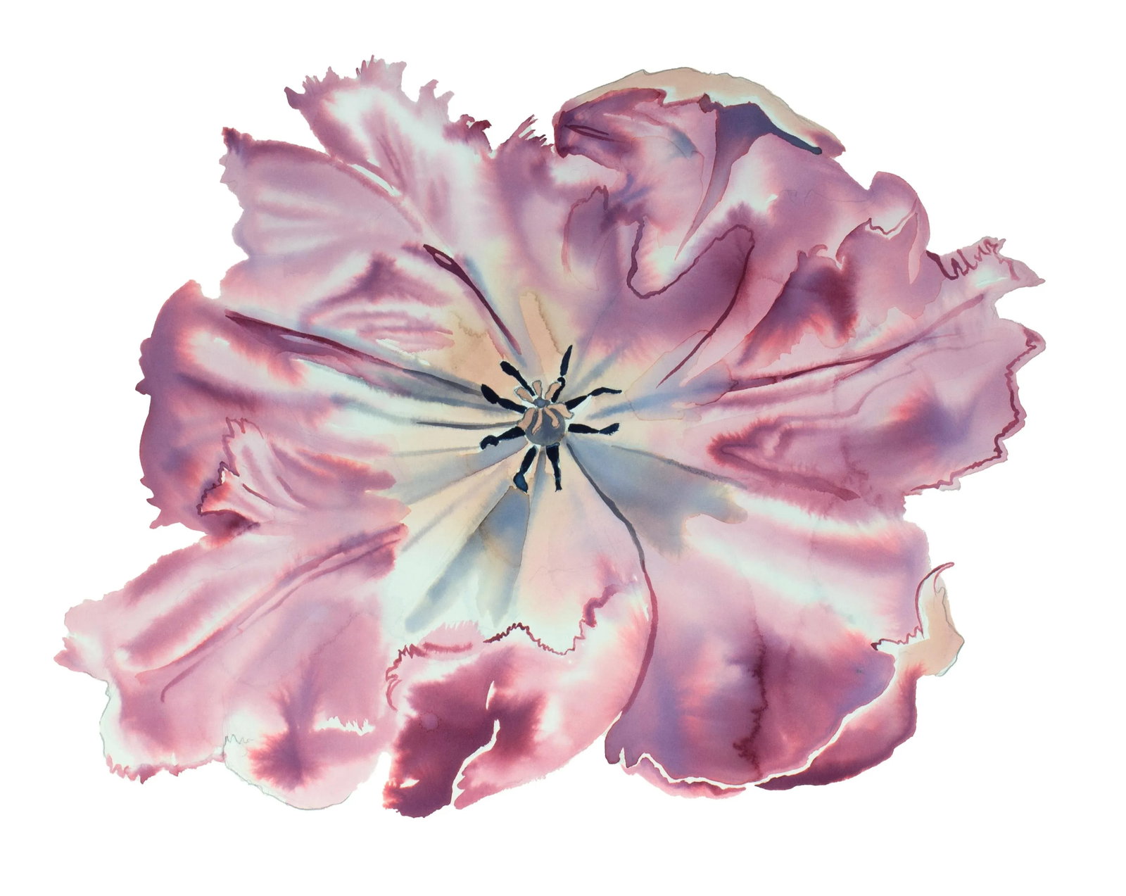 "Parrot Tulip" Contemporary Original Botanical Flower Watercolor Painting by Elizabeth Becker: Original watercolor painting on 140 lb cold press paper Artist: Elizabeth Becker Year: 2023 Image and Paper Size: 16" x 20" Signed on front Condition: Imperfections: No Imperfections Origin: United