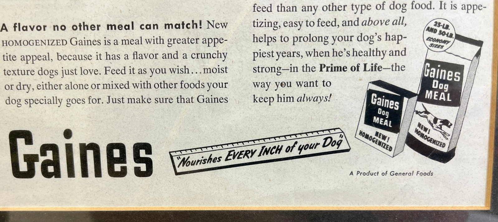 Vintage Framed Gaines Dog Food Advertisement From the Saturday Evening News - Circa 1953 - 10