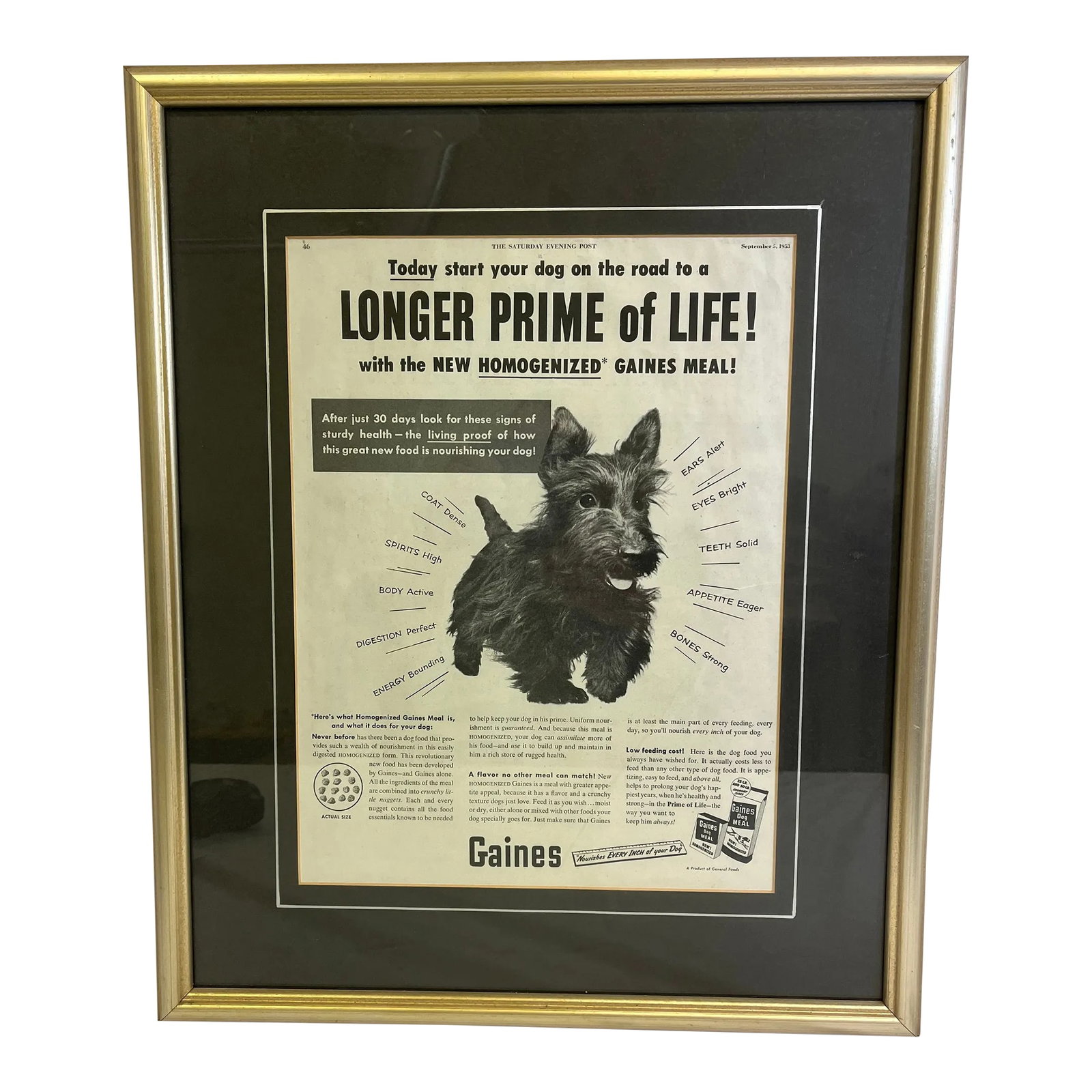 Vintage Framed Gaines Dog Food Advertisement From the Saturday Evening News - Circa 1953 (1 of 12)