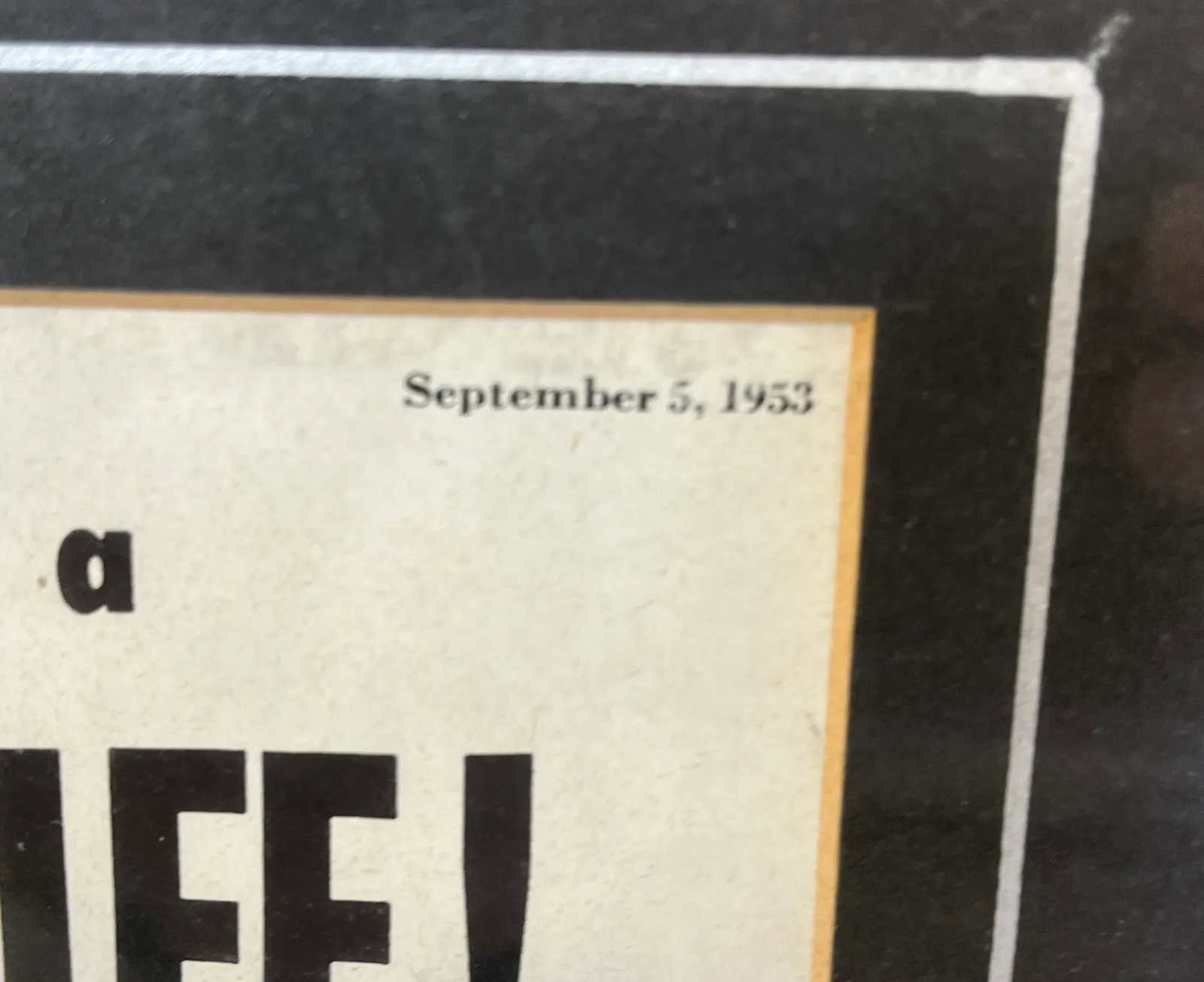Vintage Framed Gaines Dog Food Advertisement From the Saturday Evening News - Circa 1953 - 2