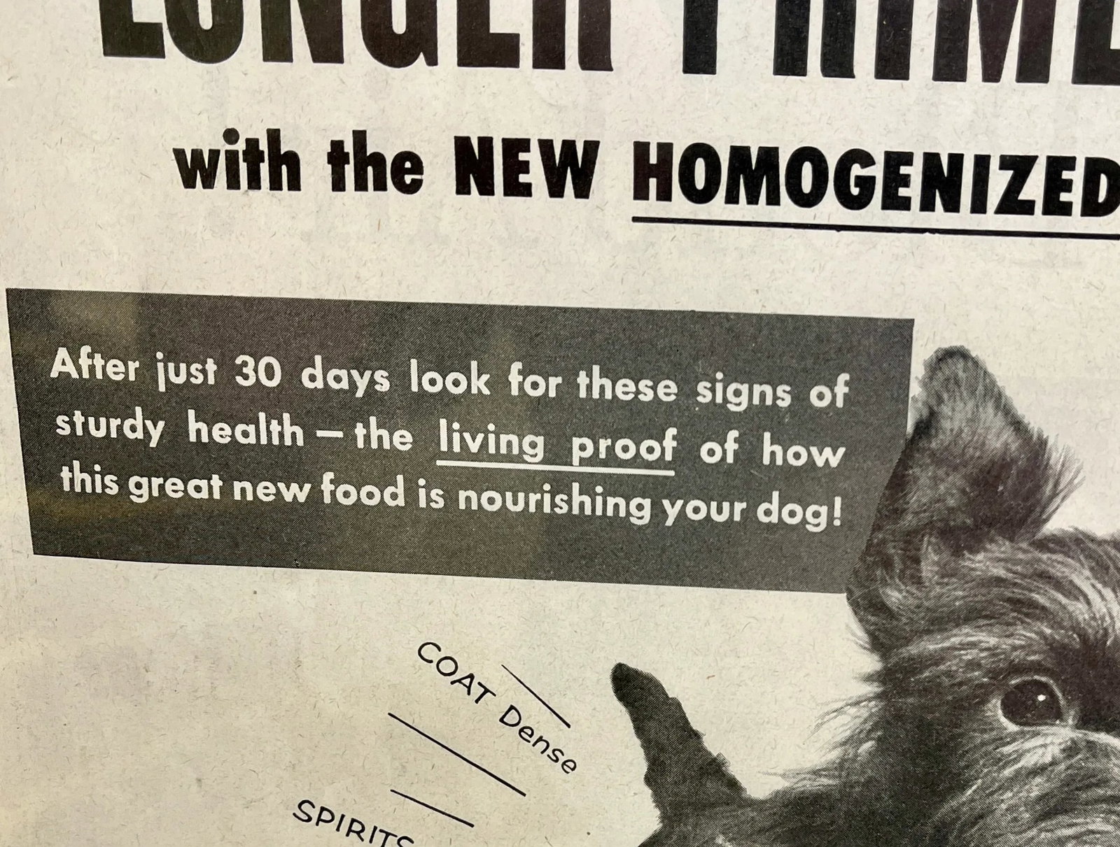 Vintage Framed Gaines Dog Food Advertisement From the Saturday Evening News - Circa 1953 - 5