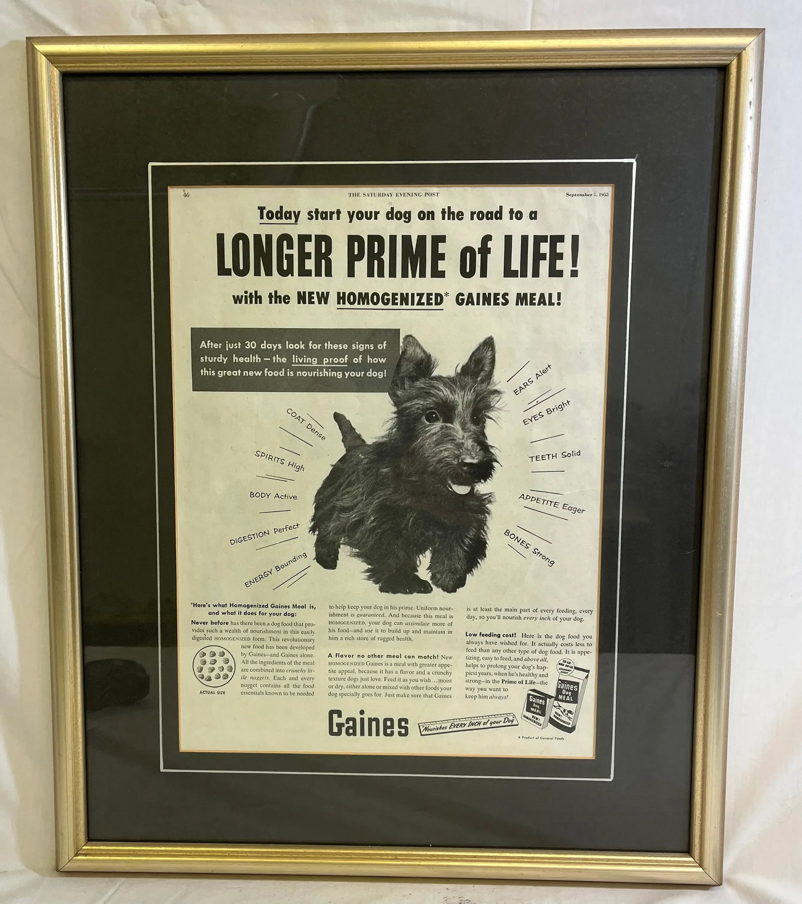 Vintage Framed Gaines Dog Food Advertisement From the Saturday Evening News - Circa 1953 - 9