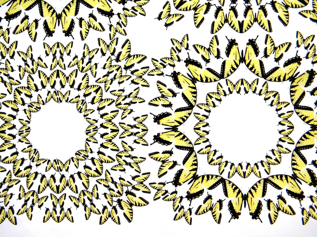 Jean Orlebeke Original Geometric Yellow Butterflies Print - 4