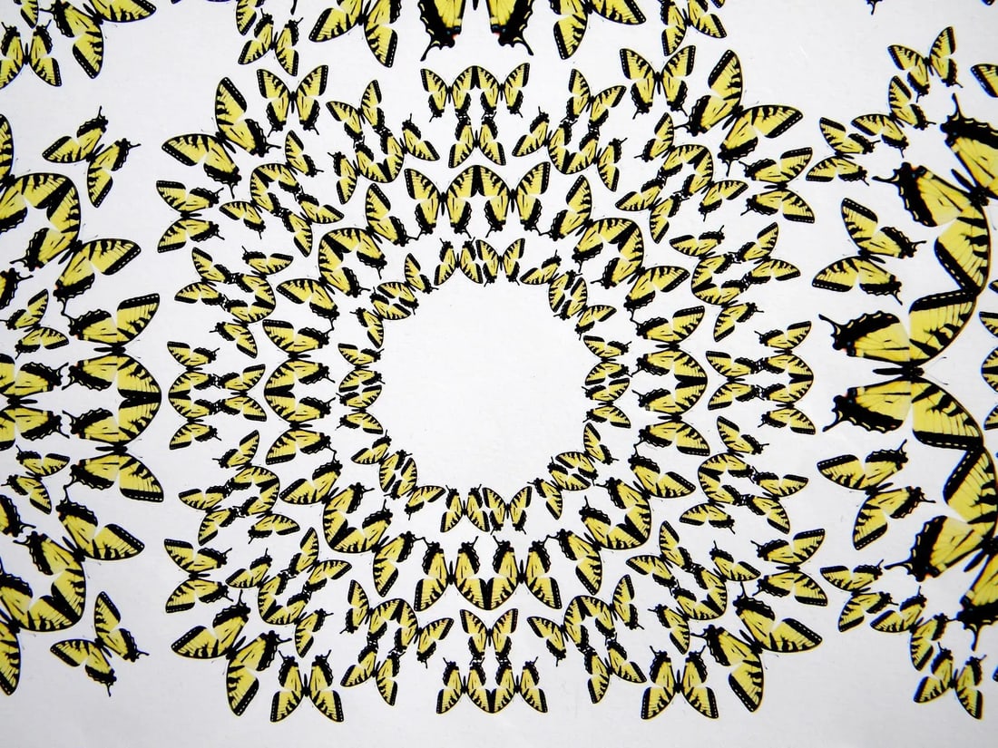 Jean Orlebeke Original Geometric Yellow Butterflies Print - 5