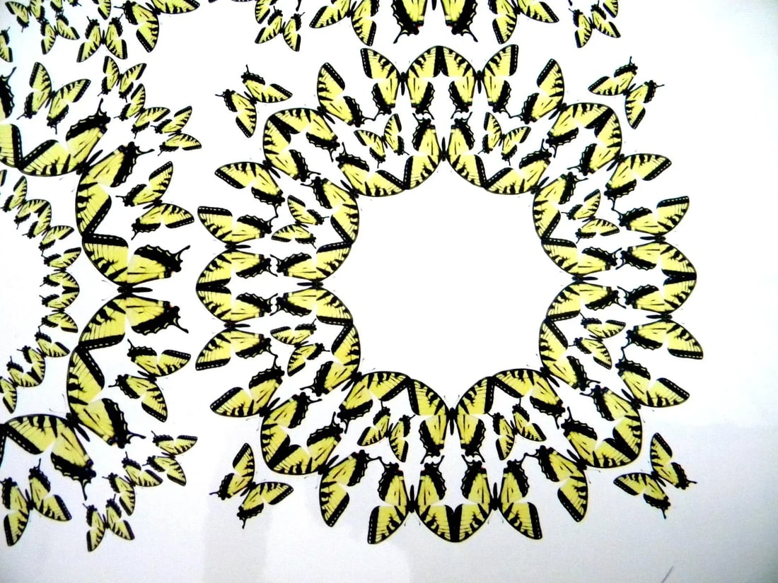 Jean Orlebeke Original Geometric Yellow Butterflies Print - 6