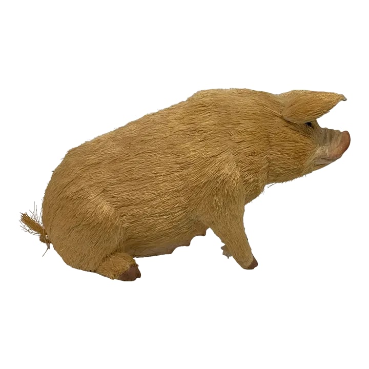Vintage Paper Mache Coconut Hair Pig: Oink! Oink! This Vintage Paper Mache Coconut Hair Pig is that one-of-a-kind conversation starter your room needs! Have you ever seen anything so cute? I love the coconut hair finish. I love the