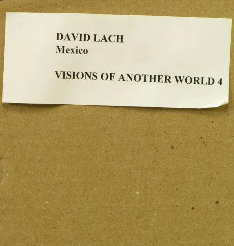 "Visions of Another World lV" Painting on Fiberglass by David Lach - 5