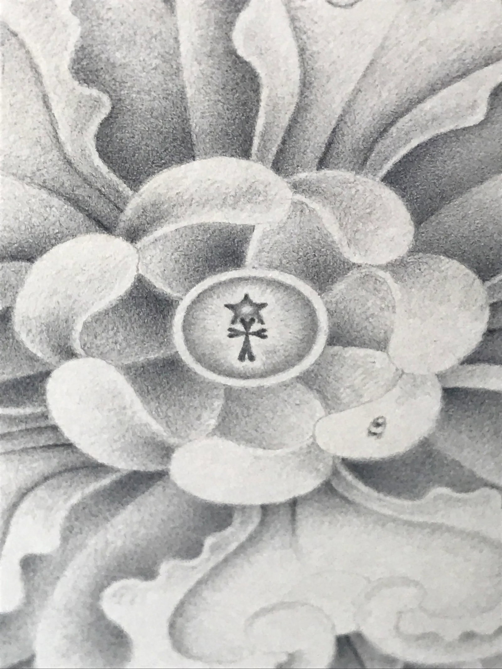 1980s "Magical Flower" Pencil Drawing by Philip Kirkland - 2