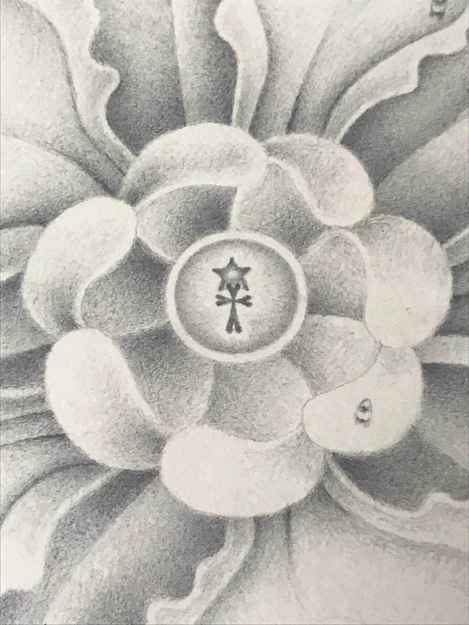 1980s "Magical Flower" Pencil Drawing by Philip Kirkland - 9