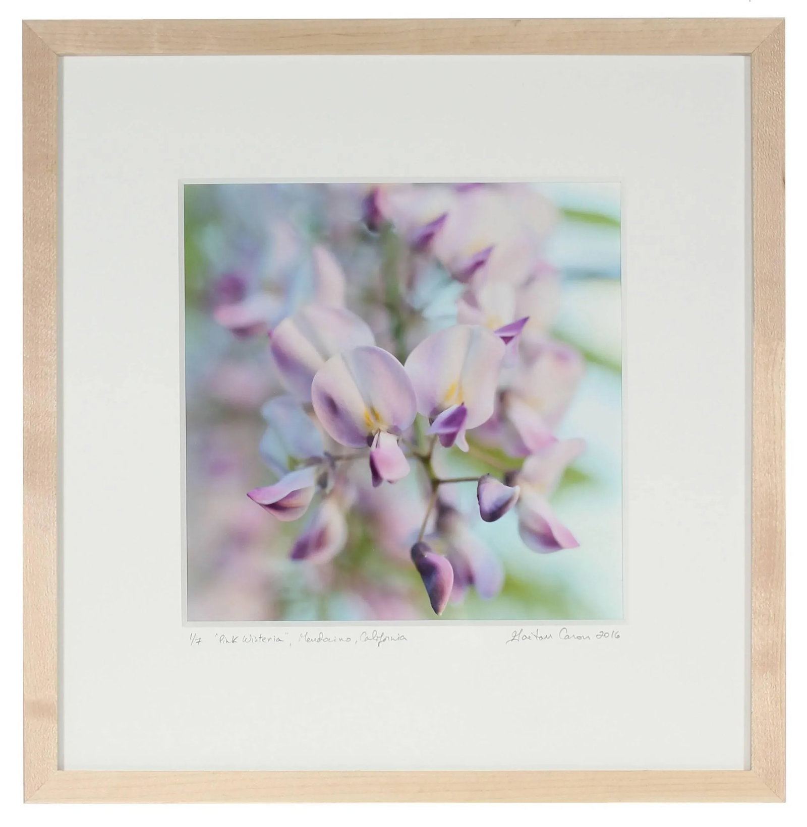 Gaetan Caron "Pink Wisteria", Purple, Green & Blue Flower Still Life (Framed) 2016 - 4