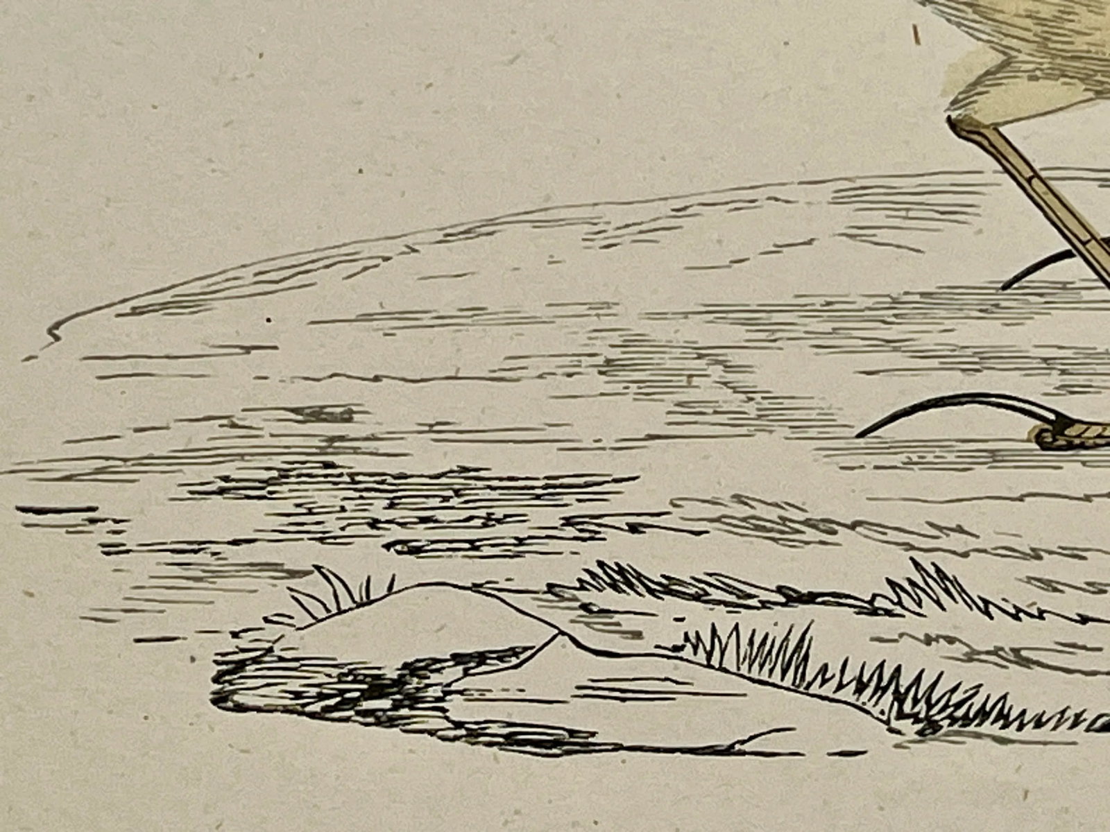 Antique Bird Print From England Showcasing a Red-Throated Pipit - Circa 1888 - 9