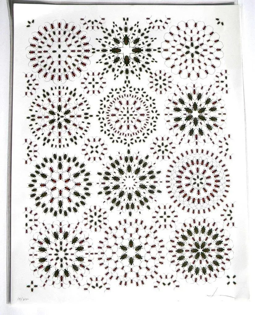Jean Orlebeke Original Geometric Beetles Print - 11