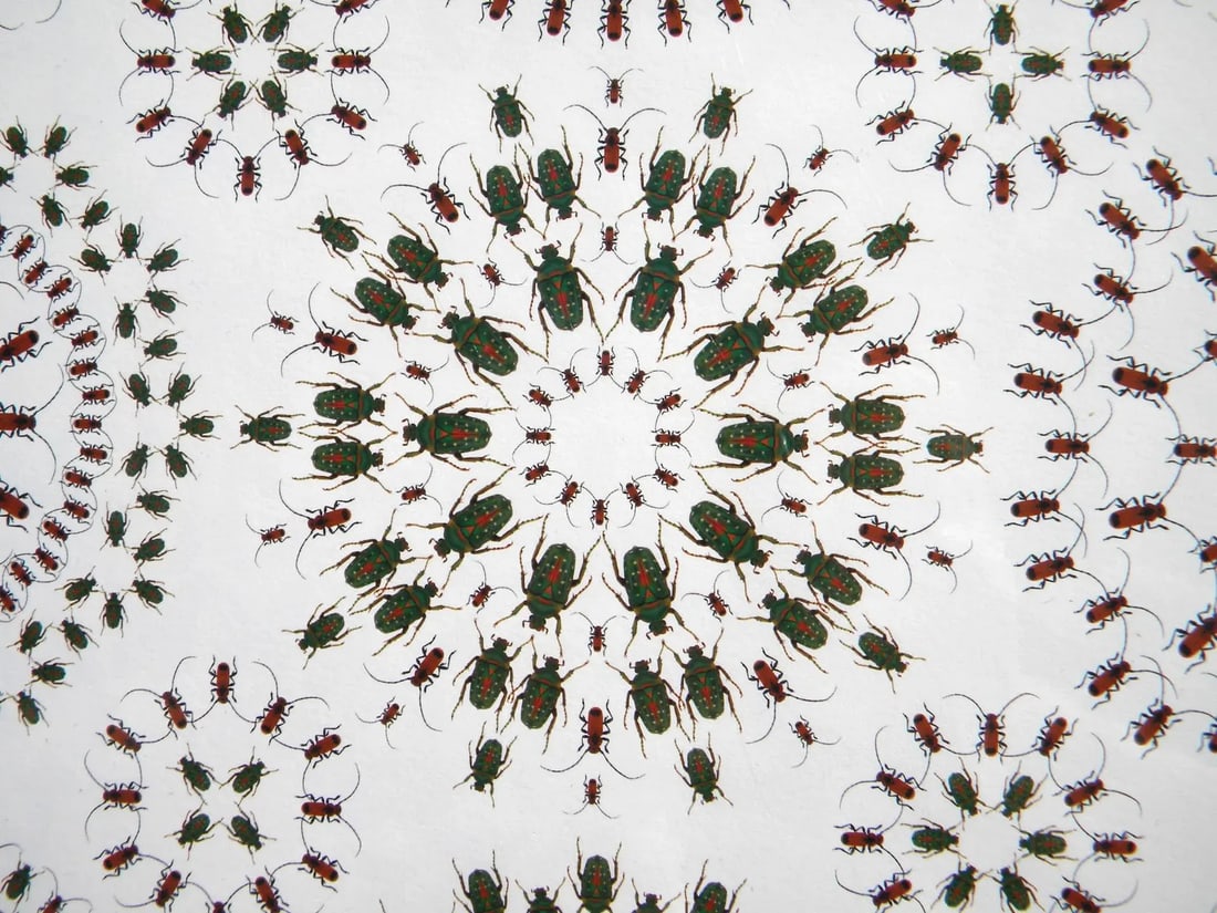 Jean Orlebeke Original Geometric Beetles Print - 4