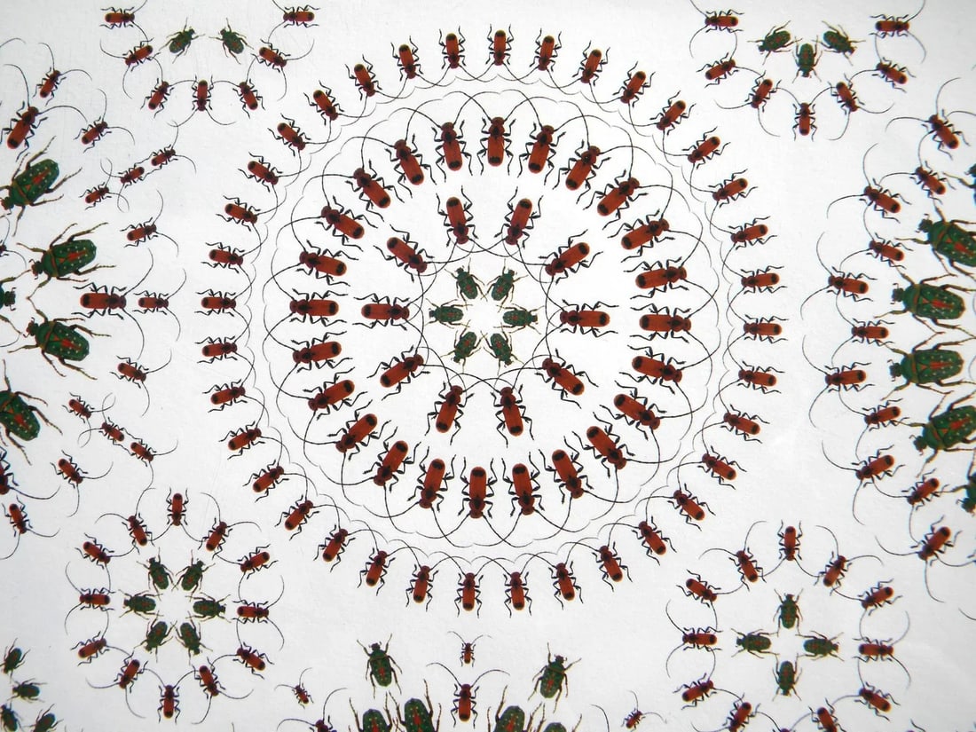 Jean Orlebeke Original Geometric Beetles Print - 5