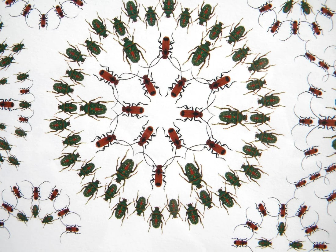 Jean Orlebeke Original Geometric Beetles Print - 6