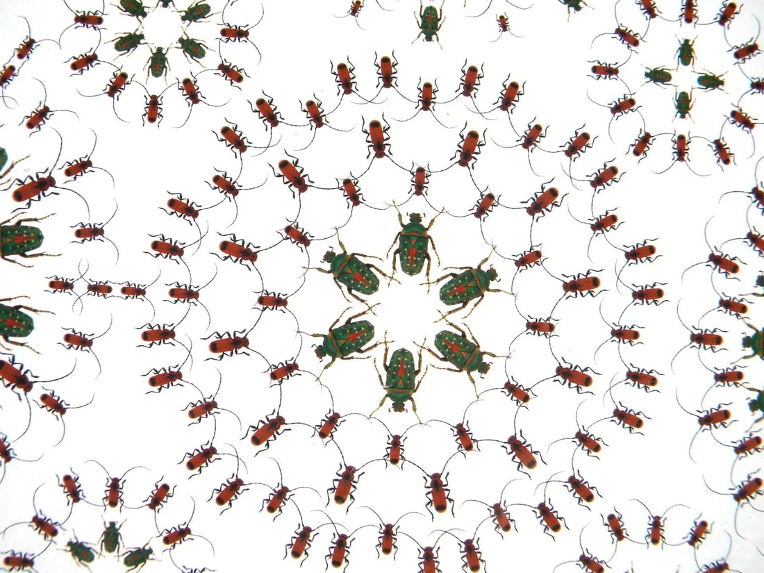 Jean Orlebeke Original Geometric Beetles Print - 7