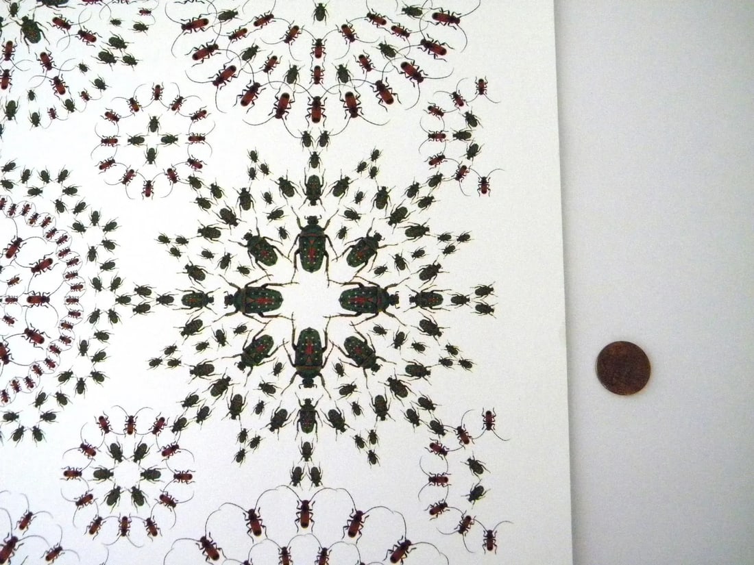 Jean Orlebeke Original Geometric Beetles Print - 8