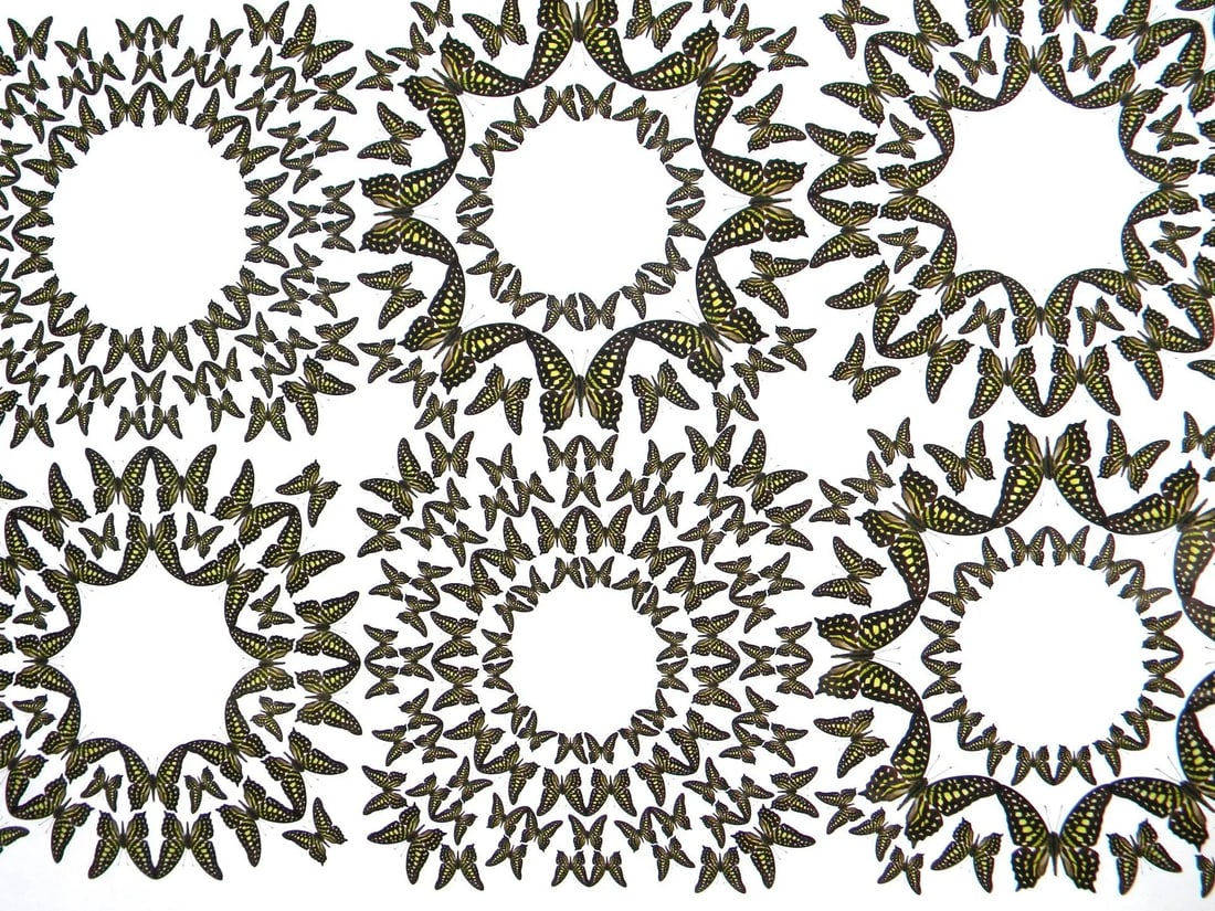 Jean Orlebeke Original Geometric Green Butterflies Print - 3
