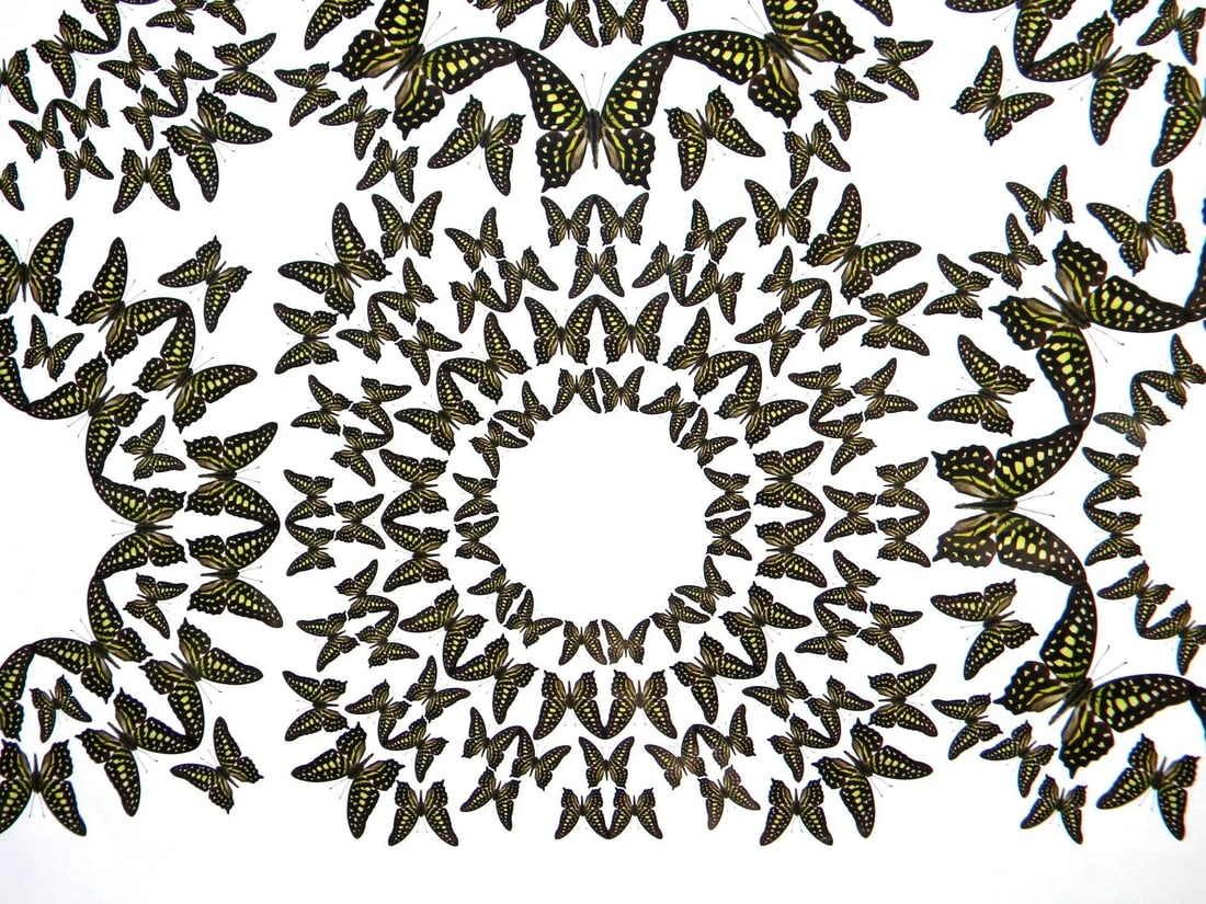 Jean Orlebeke Original Geometric Green Butterflies Print - 4