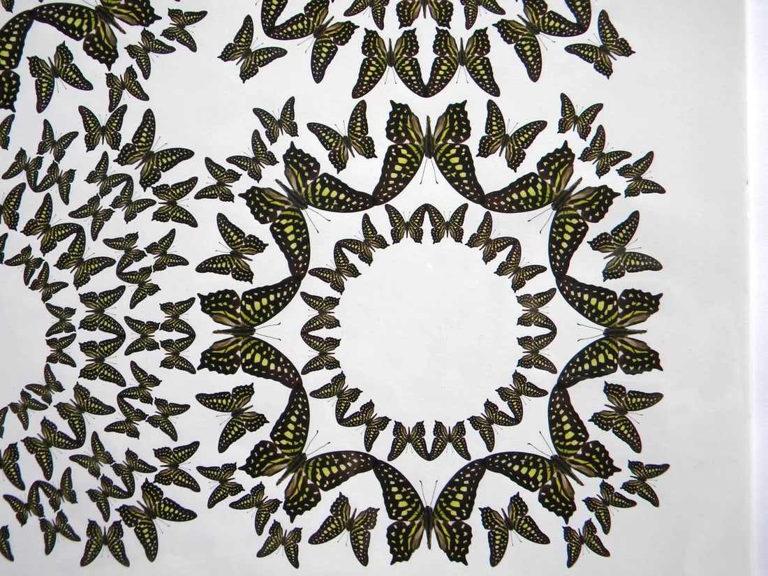 Jean Orlebeke Original Geometric Green Butterflies Print - 5