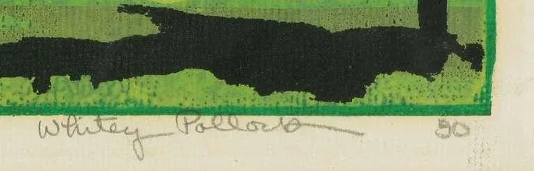 Colorful Turtle Block Print in Green, Red, Black & White - 6