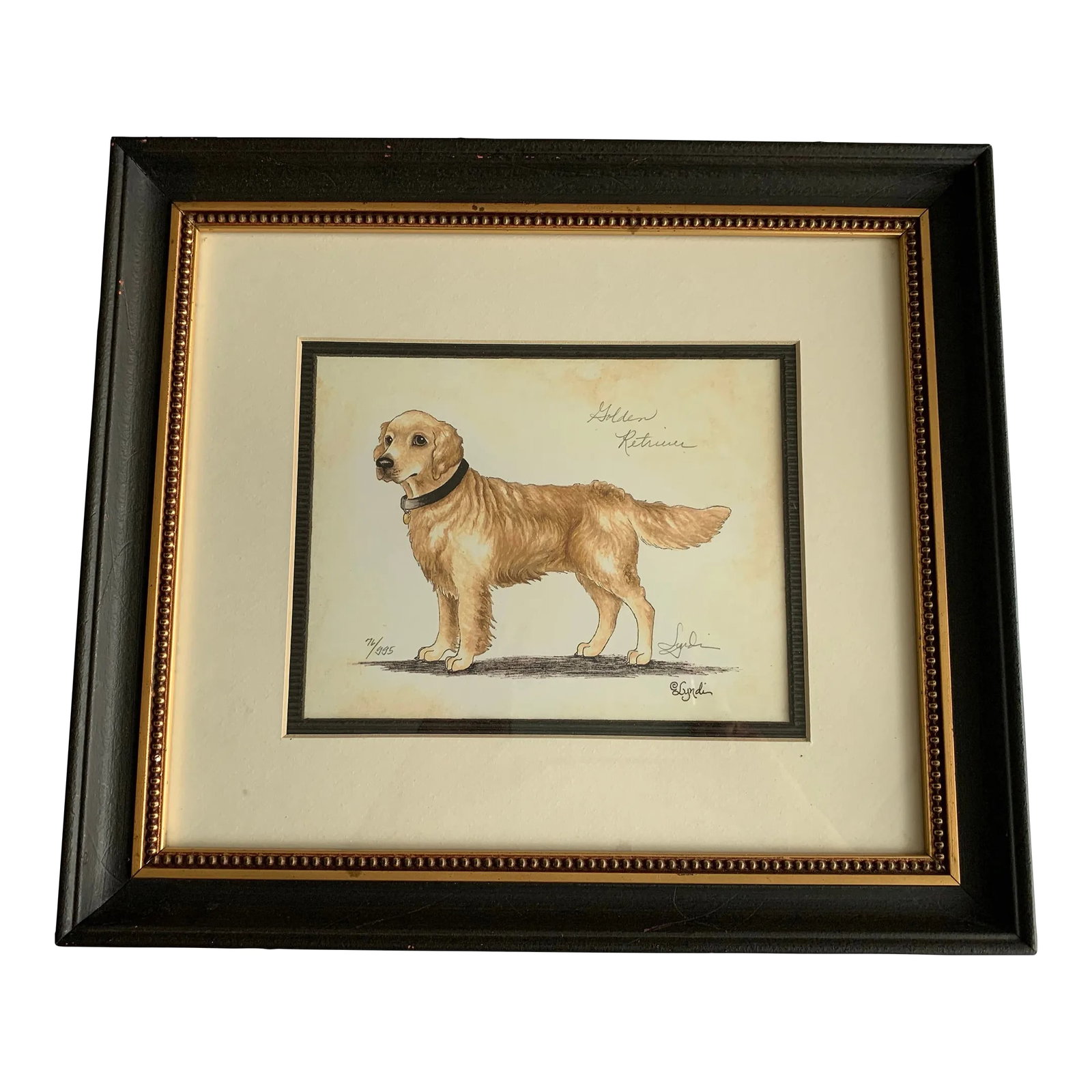 Dog Portrait, Golden Retriever, Lithograph Signed and Numbered. Framed: Signed Lithograph Drawing by Lyndi Lende of a Golden Setter, in a black wood frame with gold beading. Watercolor on paper, well defined and realistic. Lende is owner and operator of The Hudson Valley