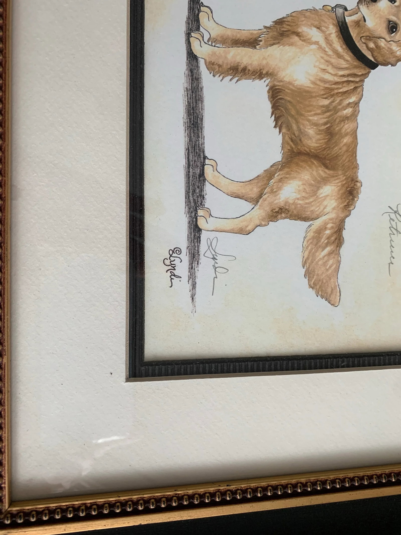 Dog Portrait, Golden Retriever, Lithograph Signed and Numbered. Framed - 3