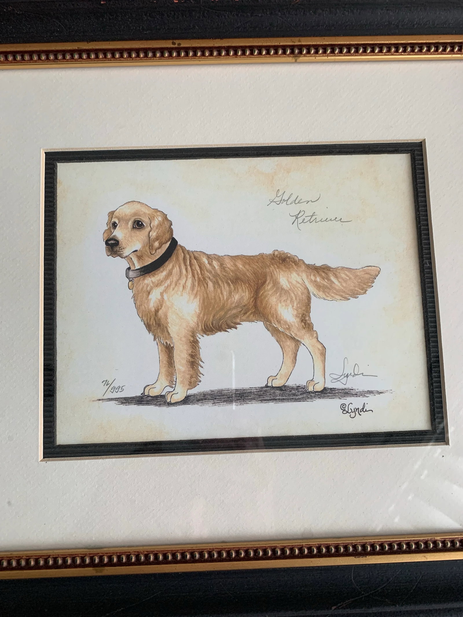 Dog Portrait, Golden Retriever, Lithograph Signed and Numbered. Framed - 5