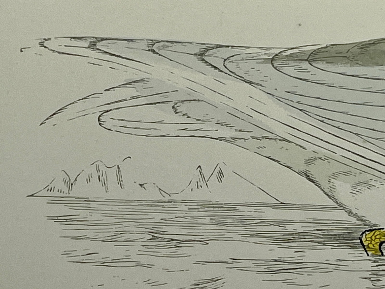 Antique Hand Tined Bird Print From England Featuring a Grey & White Iceland Gull - Circa 1888 - 8