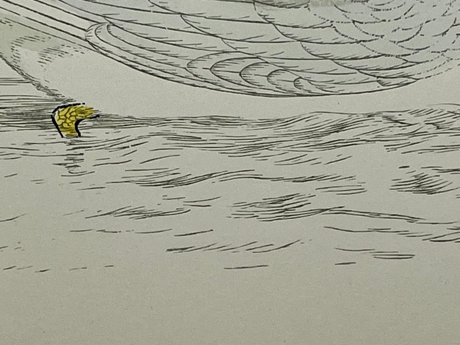Antique Hand Tined Bird Print From England Featuring a Grey & White Iceland Gull - Circa 1888 - 9