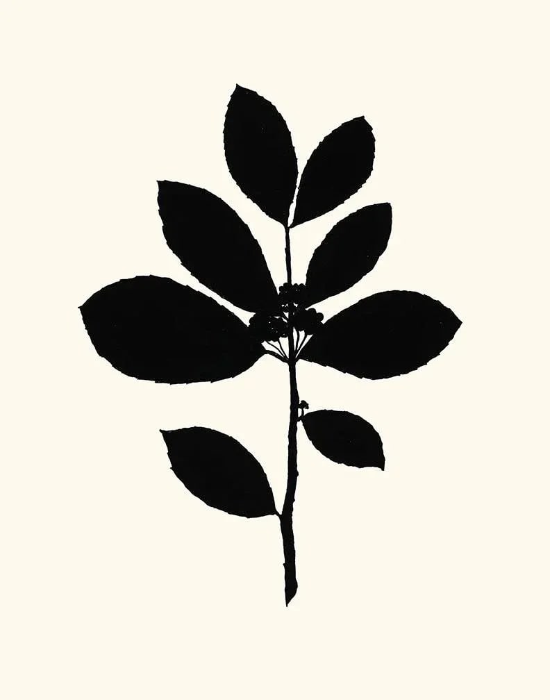 Tea Tree, Giclee Print by Philippa Katz (1 of 2)