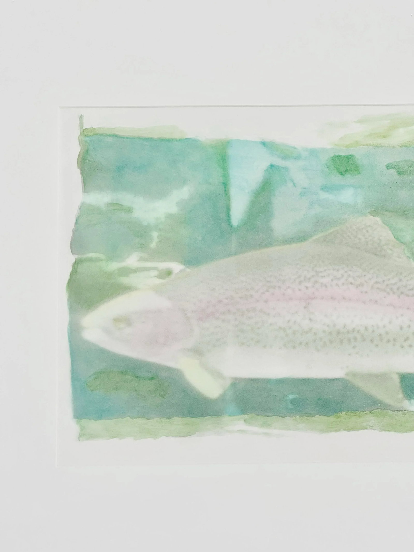 Camille Thom "Water Studies #5" - Framed Mixed Media Original Artwork of a Rainbow Trout - 2