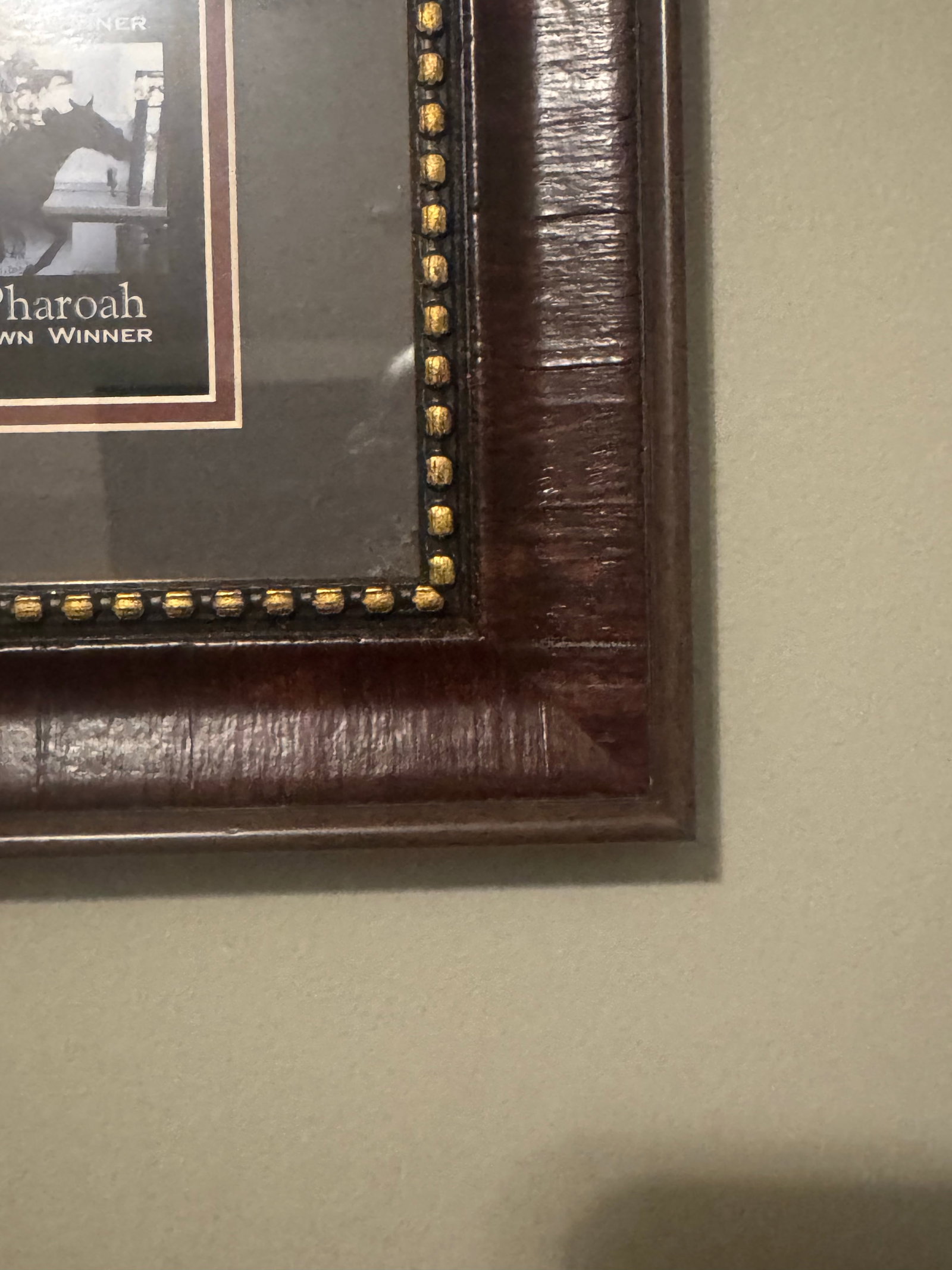 Framed Triple Crown Horse Racing Memorabilia Featuring American Pharoah & Historic Winners - 8