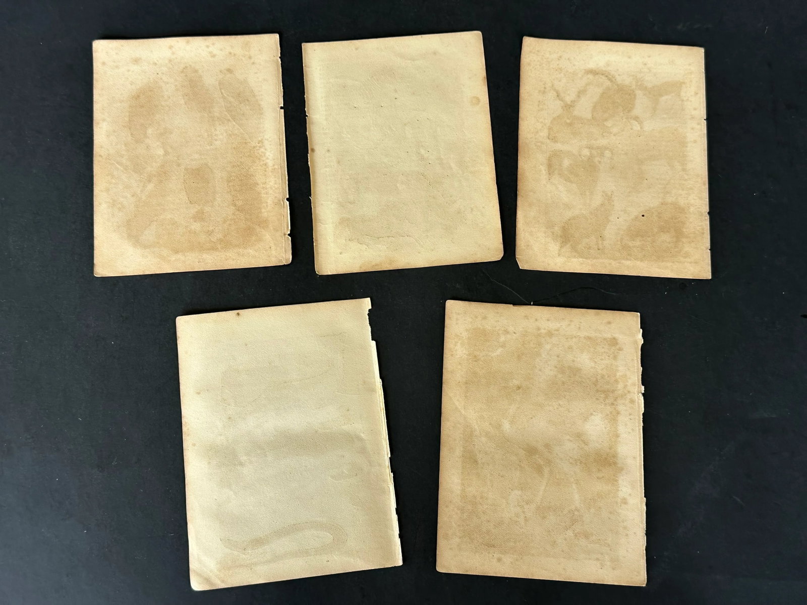 Antique 19th Century Engraved Natural History Animal Art Prints Set of 5 - 8
