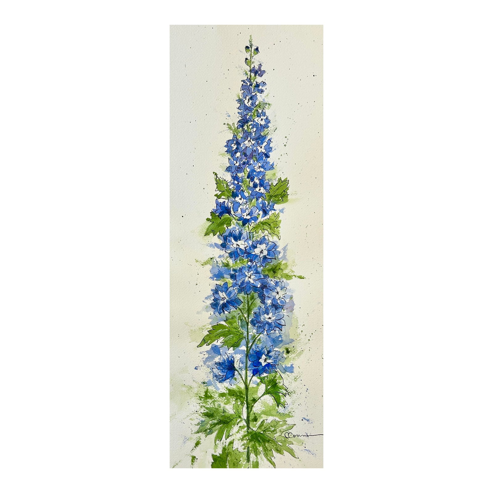 Original "Blue Delphinium" Watercolor Tall Painting: Original watercolor and India ink painting of a delphinium on my flower farm. The painting is Approximately 10 x 22 inches. Unframed. Copyright reserved by the artist, Cindy Conner. Condition: