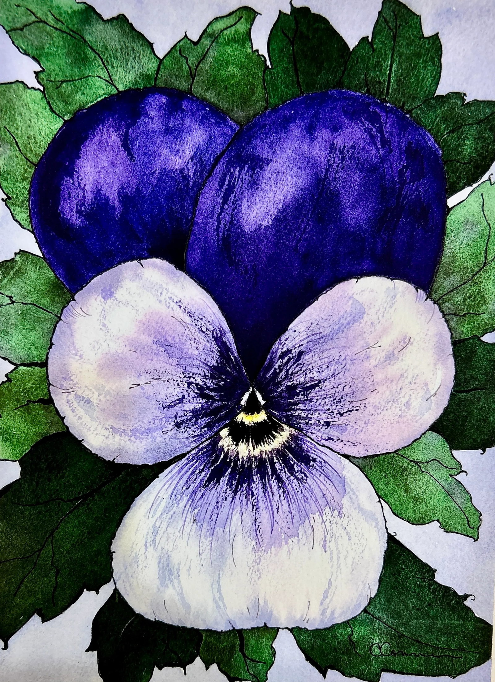 Original Watercolor Painting of a Perfect Purple "Viola": Original watercolor painting of one of over a million violas I have grown and sold on Larkspur Hill, my flower farm. Approximately 9 x 12 inches. Painted on 100% cotton 140 lb Arches watercolor