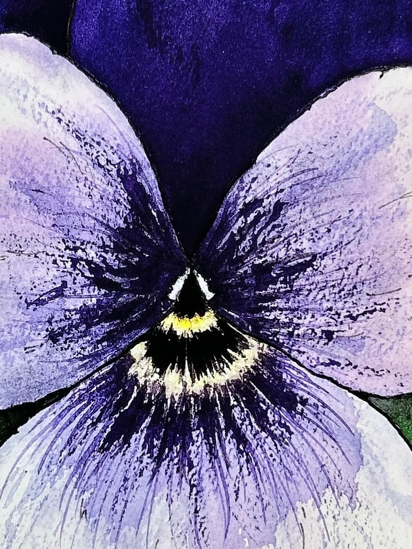 Original Watercolor Painting of a Perfect Purple "Viola" - 2