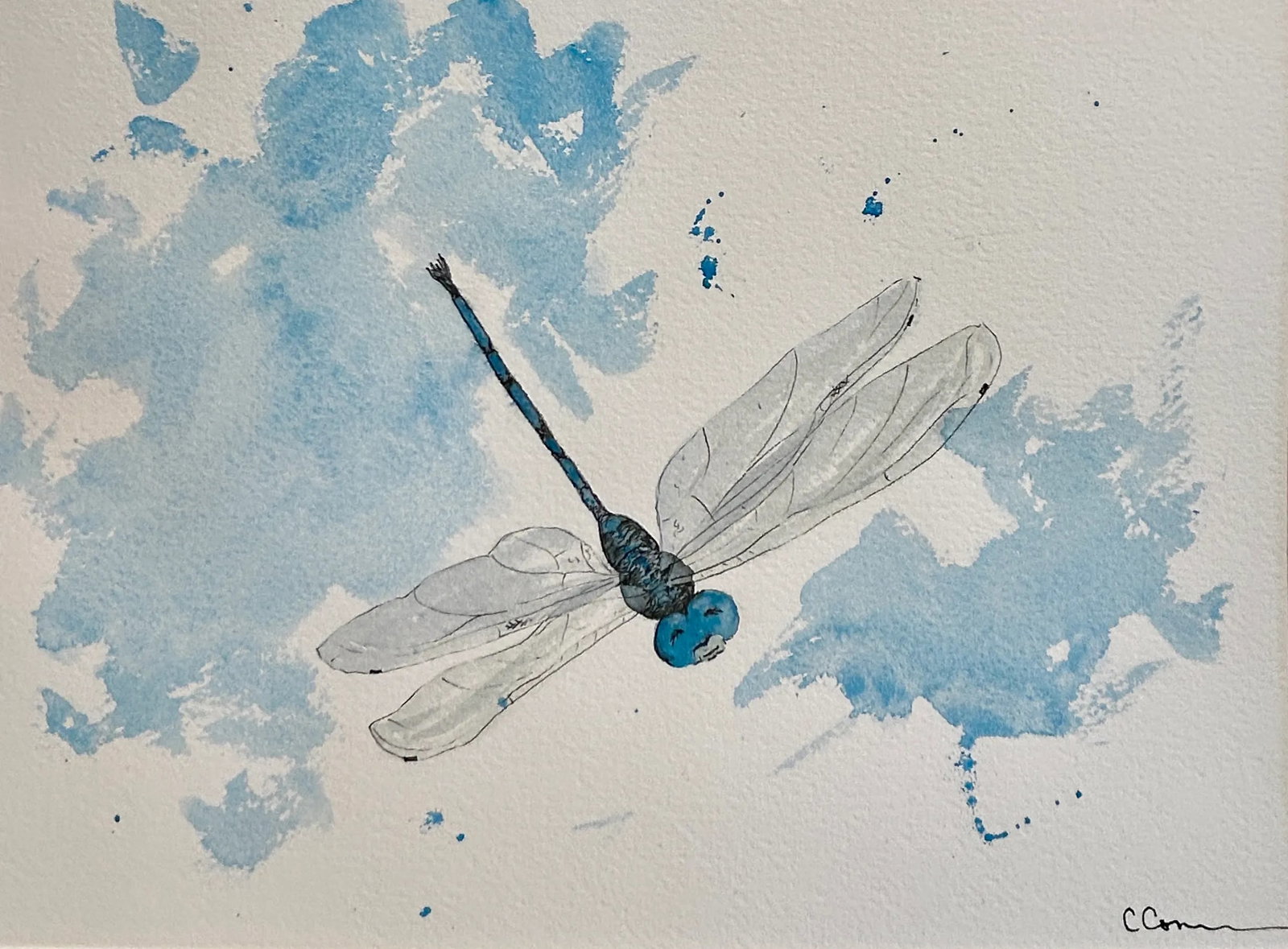 Original Watercolor Painting "Blue Dragonfly": Original watercolor painting of my favorite mosquito eater, "blue dragonfly." The blue dragonflies save the day eating the mosquitos all around the farm here in Idaho. Approximately 9 x 12 inches.