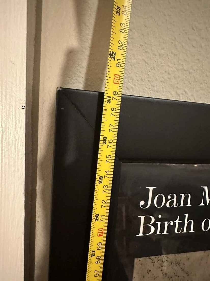 Joan Miro, Birth of the World, Moma Museum Exhibition Poster, 2019 - 3
