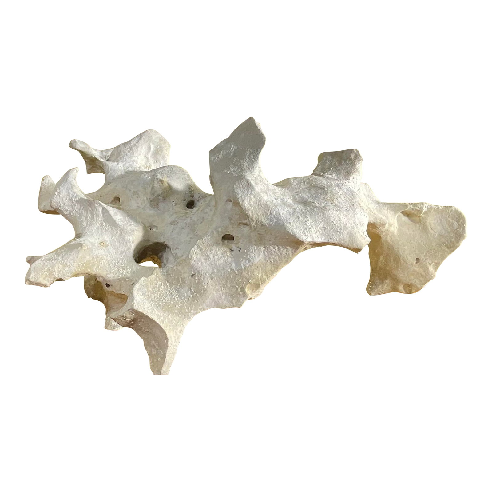 Artful Natural Stone Sculpture on Mango Wood Base - Unique Organic Modern Decor: Capture the essence of nature and organic modern design with this one-of-a-kind stone sculpture mounted on a solid, handcrafted mango wood base. This piece serves as a captivating statement art